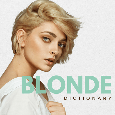 BLONDE DICTIONARY - James S Geidner Inc