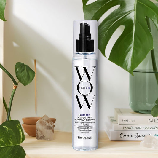 Color Wow Speed Dry Blow Dry Spray 5oz. - James Geidner Hair Studio