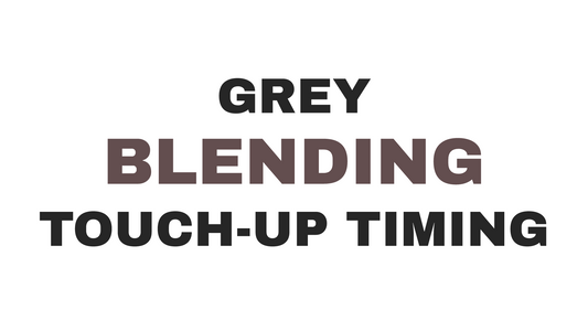 Grey blending touch-up frequency guide at James Geidner Hair Studio, Vero Beach FL.