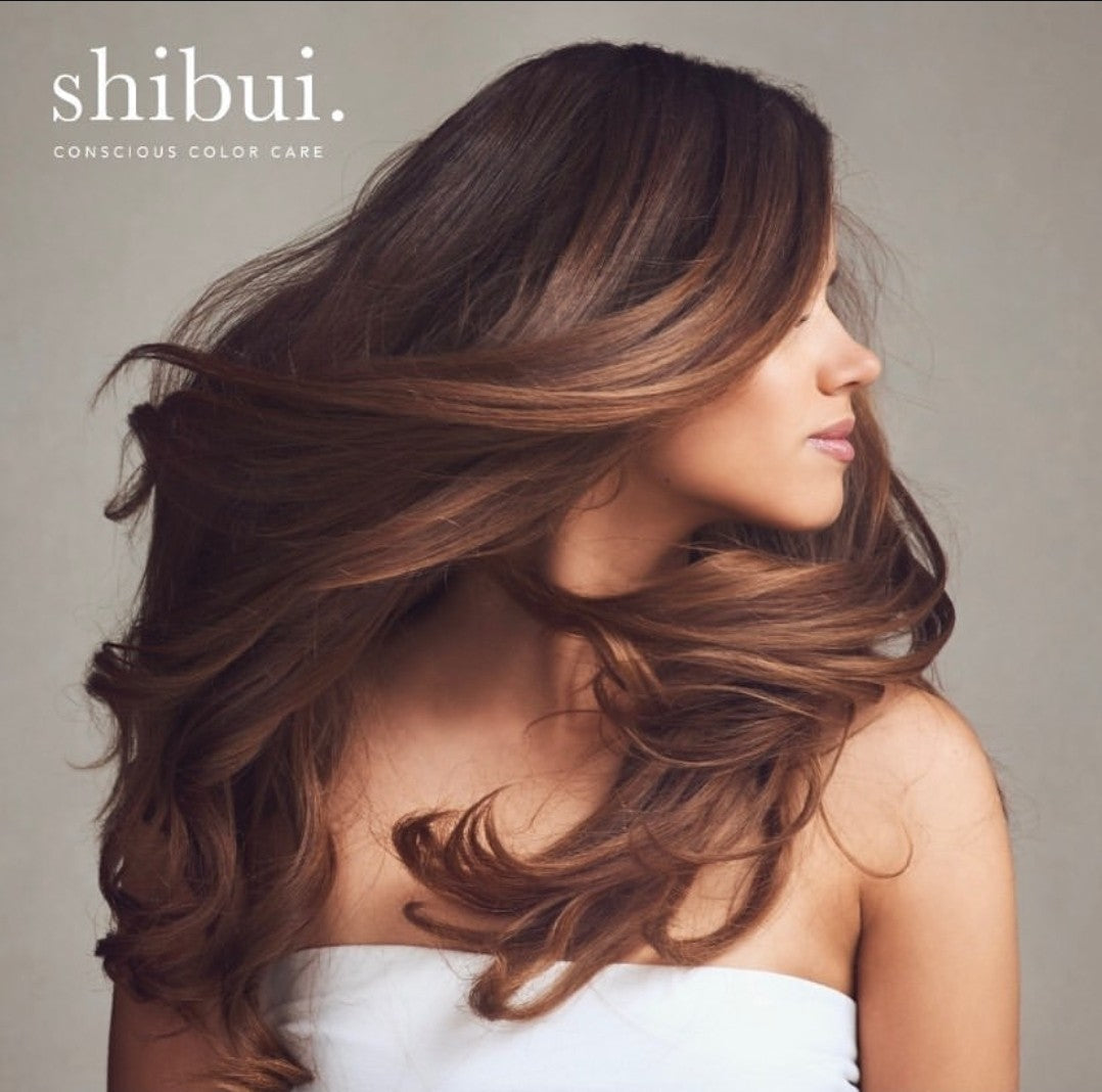 Shibui JGHS