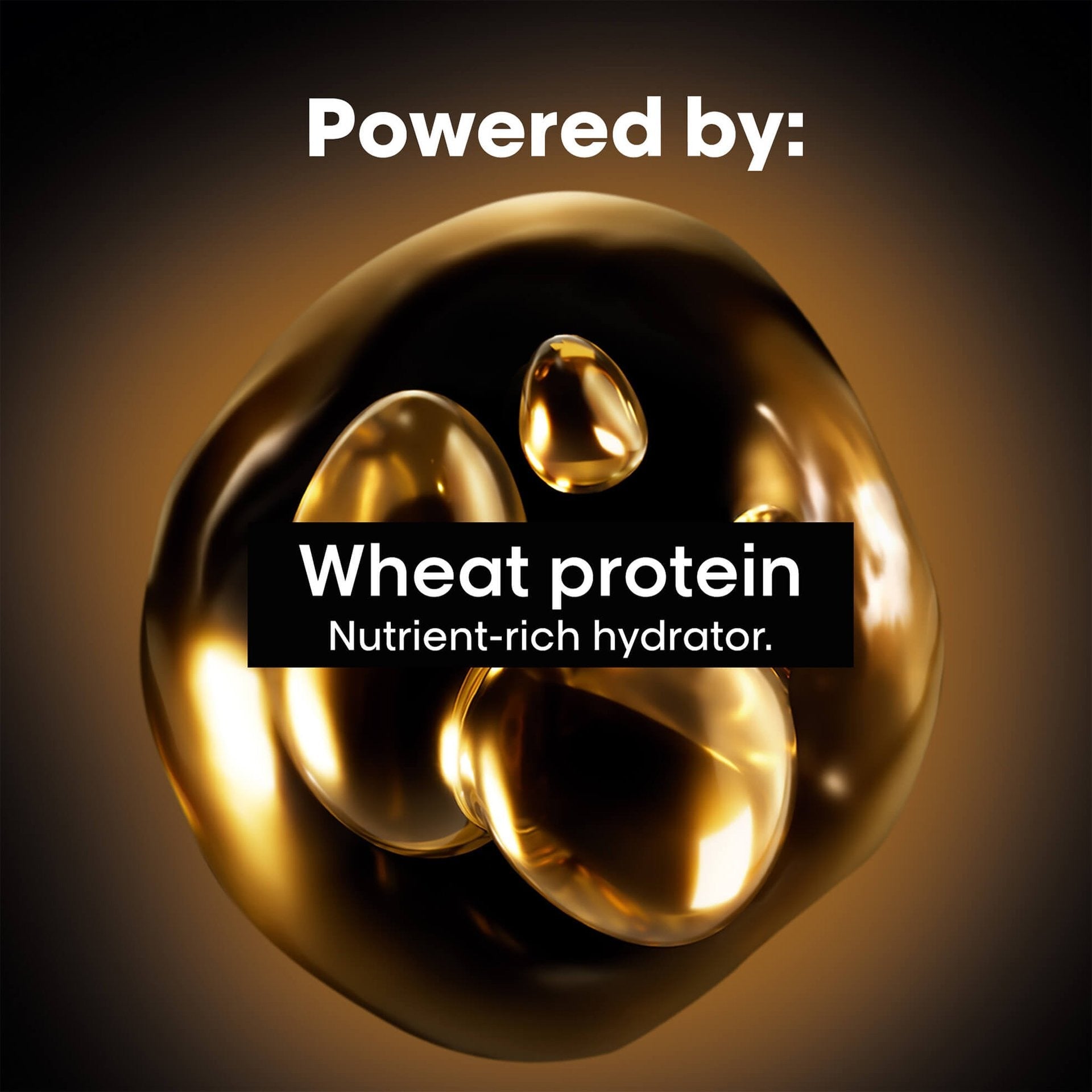 L'Oreal Absolut Repair Golden Mask for Damaged Hair - James Geidner Hair Studio