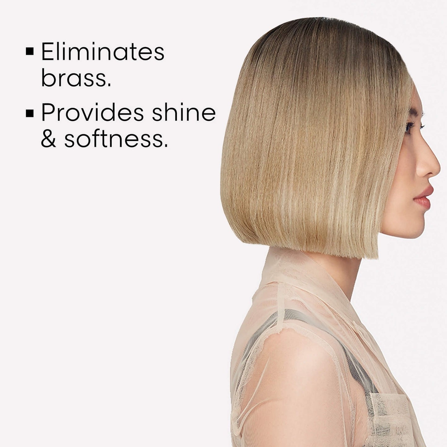 L'Oreal Silver Shampoo - James Geidner Hair Studio