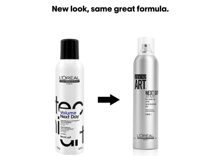 L'Oreal Tecni.Art Next Day Hair Dry Finishing Spray 6.8oz - James Geidner Hair Studio